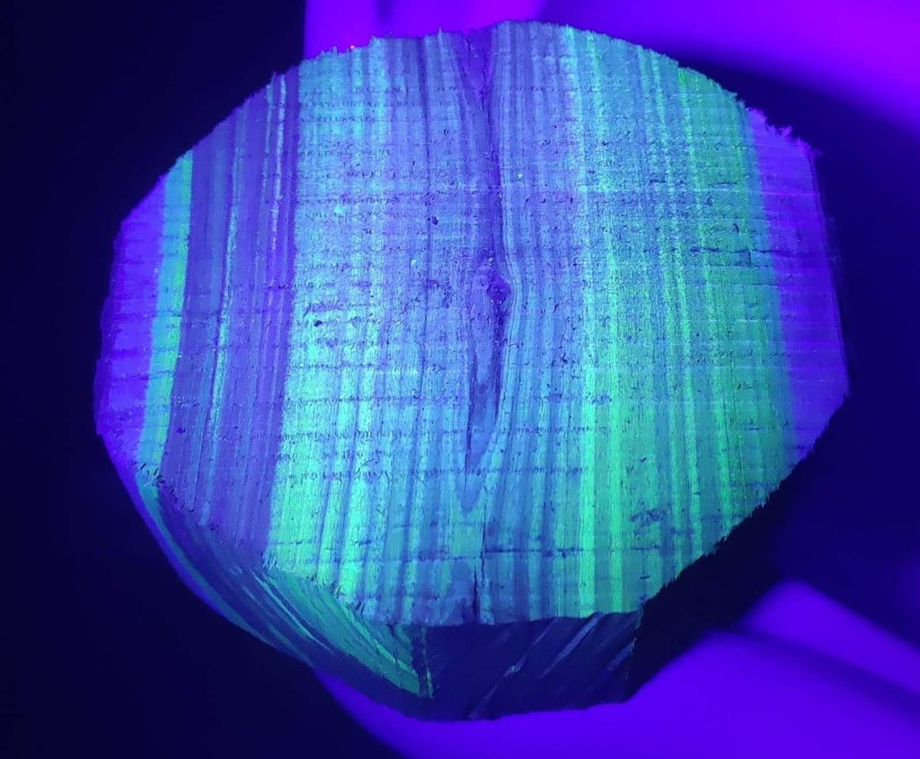 چوب زیر نور بنفش و نمایش فلورسنس